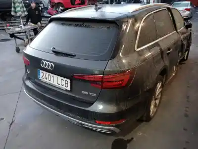 Veículo de Sucata audi a4 b9 avant (8w5, 8wd) 40 tdi do ano 2020 alimentado deu