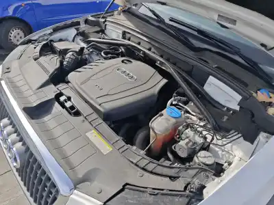 Scrapping Vehicle audi q5 (8rb) 2.0 tdi quattro of the year 2010 powered cgl