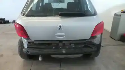 Scrapping Vehicle peugeot 307 (3a/c) 1.6 hdi of the year 2005 powered 9hx