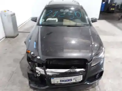 Scrapping Vehicle audi a4 avant (8e) 2.0 tdi of the year 2007 powered bpw