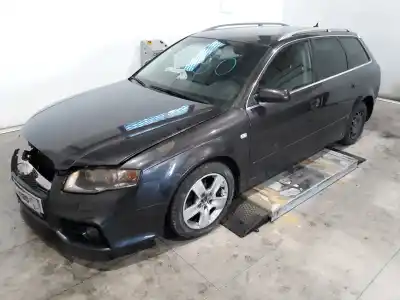 Scrapping Vehicle audi a4 avant (8e) 2.0 tdi of the year 2007 powered bpw