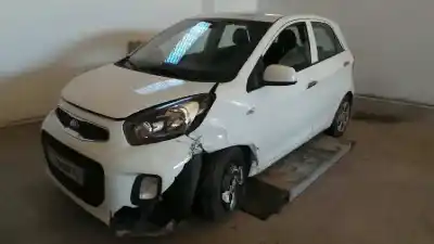Veicolo di demolizione kia picanto x-tech dell'anno 2016 alimentato g3la
