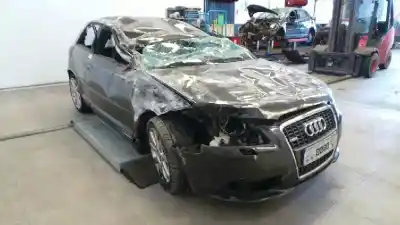 Veicolo di demolizione AUDI A3 (8P) 2.0 TDI dell'anno 2007 alimentato BKD