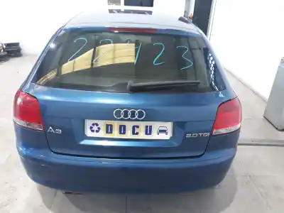 Veículo de Sucata audi a3 (8p) 2.0 tdi do ano 2004 alimentado bkd