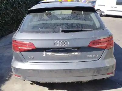 Vehículo de desguace audi a3 sportback (8vf) 1.6 tdi del año 2019 con motor dgt