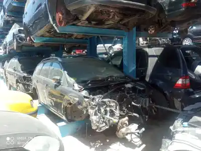 Veículo de Sucata ford focus lim. (cb4) 1.6 tdci cat do ano 2009 alimentado 