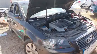 Scrapping Vehicle audi a3 (8p1) 2.0 tdi 16v of the year 2006 powered bkd Scrapping Vehicle audi a3 (8p1) 2.0 tdi 16v of the year 2006 powered bkd
