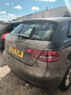 Здавання транспортного засобу audi a3 (8v1, 8vk) 1.6 tdi року 2013 потужний clha