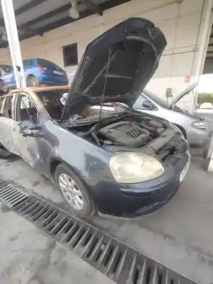 Scrapping Vehicle volkswagen golf v (1k1) 1.6 of the year 2005 powered bse
