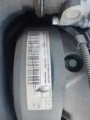 Veicolo di demolizione volkswagen golf v (1k1) 1.9 tdi dell'anno 2004 alimentato bkc