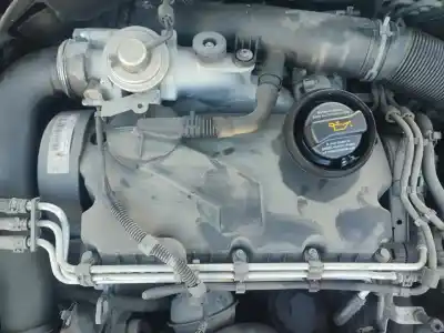 Veicolo di demolizione volkswagen golf v (1k1) 1.9 tdi dell'anno 2004 alimentato bkc