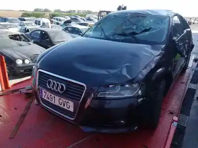 Scrapping Vehicle audi a3 (8v) 1.6 tdi of the year 2010 powered cay