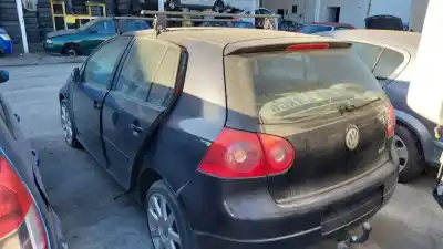 Verschrottungsfahrzeug volkswagen                                         golf v (1k1) (10.2003)                                                                                                                                                                                                                                     bkd                                                                                                                                                                                                                                                        des jahres 2003 angetrieben bkd