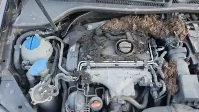 Veículo de Sucata volkswagen golf vi (5k1) 1.6 tdi do ano 2003 alimentado bkd