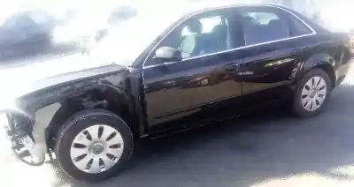 Scrapping Vehicle audi a4 berlina (8e) 2.0 tdi 16v (103kw) of the year 2005 powered blb