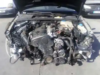 Scrapping Vehicle audi a4 berlina (8e) 2.0 tdi 16v (103kw) of the year 2005 powered blb