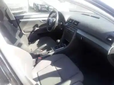 Scrapping Vehicle audi a4 berlina (8e) 2.0 tdi 16v (103kw) of the year 2005 powered blb