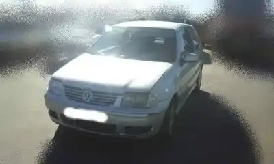 Véhicule à la ferraille volkswagen polo berlina (6n2) 1.4 tdi de l'année 1999 alimenté amf