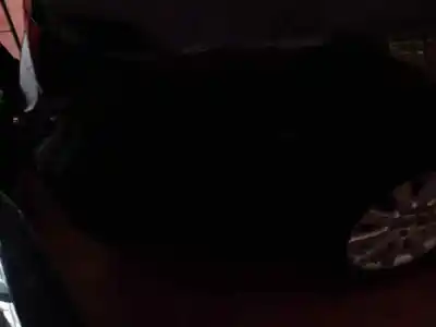 Veicolo di demolizione volkswagen passat berlina (3c2) advance dell'anno 2006 alimentato bkp