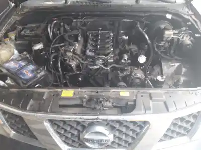Veículo de Sucata nissan pathfinder (r51) 2.5 dci xe do ano 2007 alimentado yd25 171cv