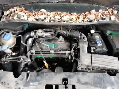 Veículo de Sucata seat toledo (5p2) 1.9 tdi do ano 2007 alimentado bxe