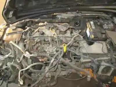 Veículo de Sucata ford focus berlina (cap) trend do ano 2005 alimentado kkda