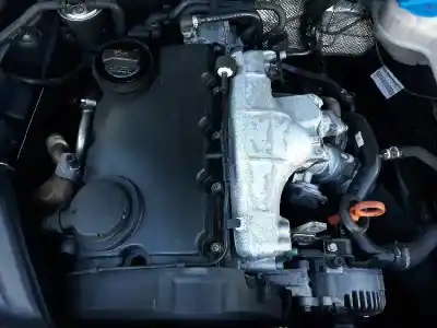 Veículo de Sucata audi a4 berlina (8e) 2.0 tdi 16v (103kw) do ano 2005 alimentado blb