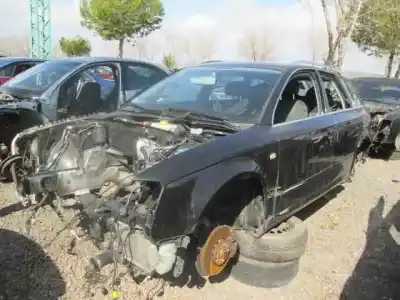 Veicolo di demolizione audi a4 avant (8e) 2.0 tdi dell'anno 2005 alimentato blb