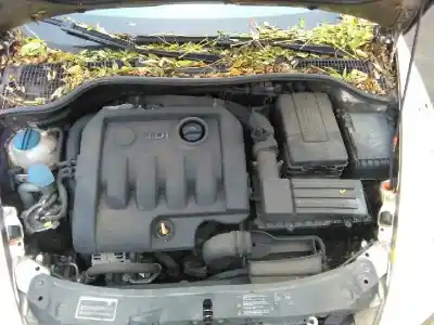 Veículo de Sucata skoda octavia berlina (1z3) trend do ano 2004 alimentado bkc