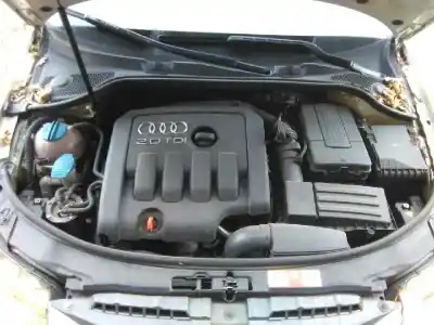 Scrapping Vehicle audi a3 (8p) 2.0 tdi ambition quattro of the year 2007 powered bkd