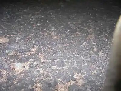 Утилизация автомобиля mitsubishi montero (v20/v40) 2800 td american dream года 1996 питание 4m40