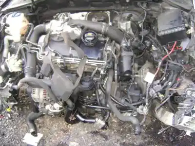 Scrapping Vehicle audi a3 (8p) 1.9 tdi ambiente of the year 2005 powered bkc