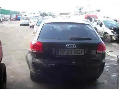Scrapping Vehicle audi a3 (8p) 1.9 tdi ambiente of the year 2005 powered bkc