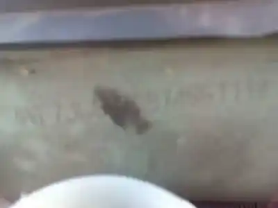 Scrapping Vehicle citroen c2 empresa of the year 2007 powered 8hz