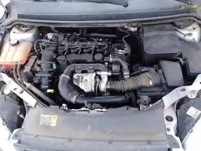 Veicolo di demolizione ford focus berlina (cap) ambiente (d) dell'anno 2006 alimentato hhda