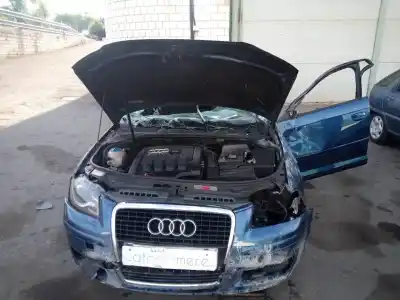 Утилизация автомобиля audi a3 (8p) 2.0 tdi limited edition (103kw) года 2005 питание bkd