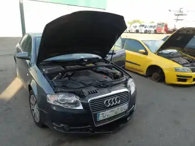 Veicolo di demolizione AUDI A4 AVANT (8E) 2.0 TDI dell'anno 2006 alimentato BRE