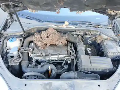 Veículo de Sucata volkswagen golf v (1k1) 1.9 tdi do ano 2005 alimentado bls