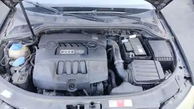 Scrapping Vehicle audi a3 (8p1) 1.6 of the year 2003 powered bgu,bse,bsf,ccsa