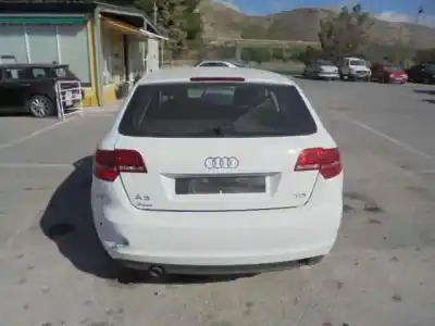 Scrapping Vehicle audi a3 sportback (8p) 1.6 tdi of the year 2012 powered cay