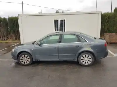 Scrapping Vehicle AUDI A4 BERLINA (8E) 2.0 TDI 16V (103kW) of the year 2005 powered BLB