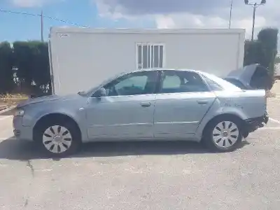 Scrapping Vehicle audi a4 berlina (8e) 2.0 tdi 16v (103kw) of the year 2005 powered blb