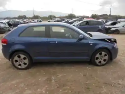 Scrapping Vehicle audi a3 (8p) 2.0 tdi of the year 2004 powered bkd