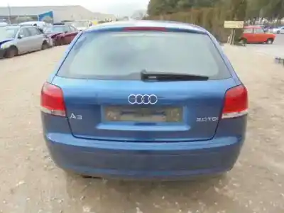 Scrapping Vehicle audi a3 (8p) 2.0 tdi of the year 2004 powered bkd