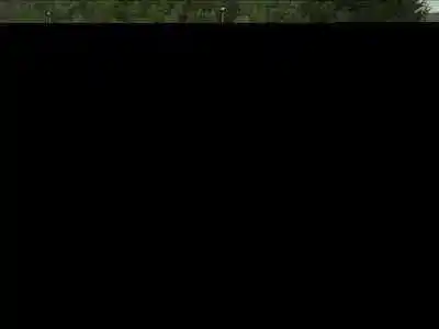 Scrapping Vehicle citroen c3 1.4 of the year 2002 powered kfv(tu3jp)