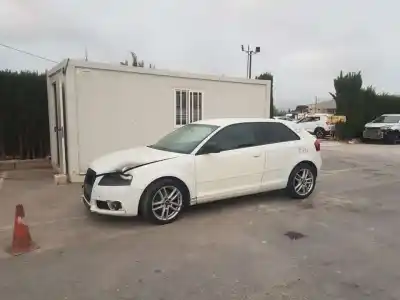 Scrapping Vehicle audi a3 (8p) 2.0 tdi of the year 2009 powered cbab