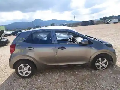 Scrapping Vehicle kia picanto (ja) concept of the year 2021 powered g3ld