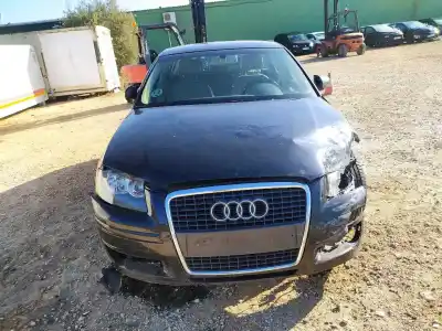 Veículo de Sucata audi a3 sportback (8p) ambiente do ano 2004 alimentado blp