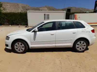 Veicolo di demolizione AUDI A3 (8P1) 1.6 TDI dell'anno 2010 alimentato CAYC