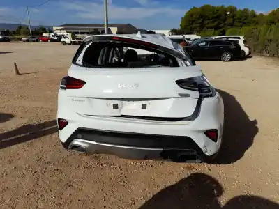 Sloopvoertuig kia xceed (cd) 1.6 crdi 136 van het jaar 2022 aangedreven d4fe